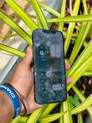 Apple iPhone 12 Pro Max 256GB (Used)