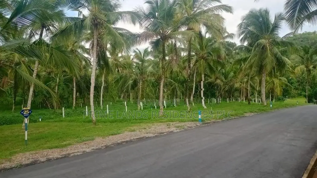 Land for Sale in Kadawatha