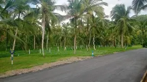 Land for Sale in Kadawatha