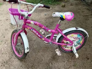 NGE Bike