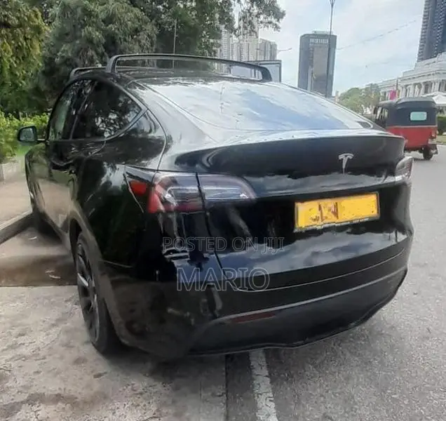 Tesla Model Y 2024