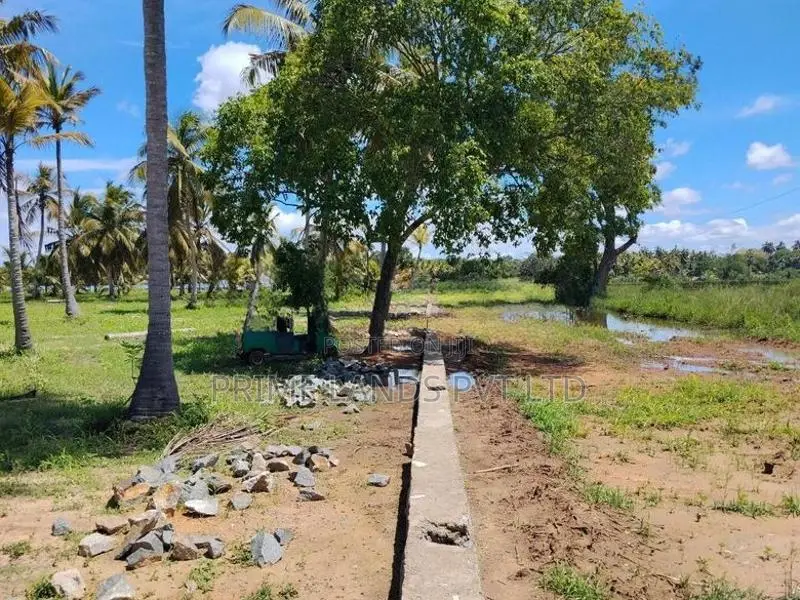 අනුරාධපුර බිම්කොටස් නාච්චාදූව පාරෙන්