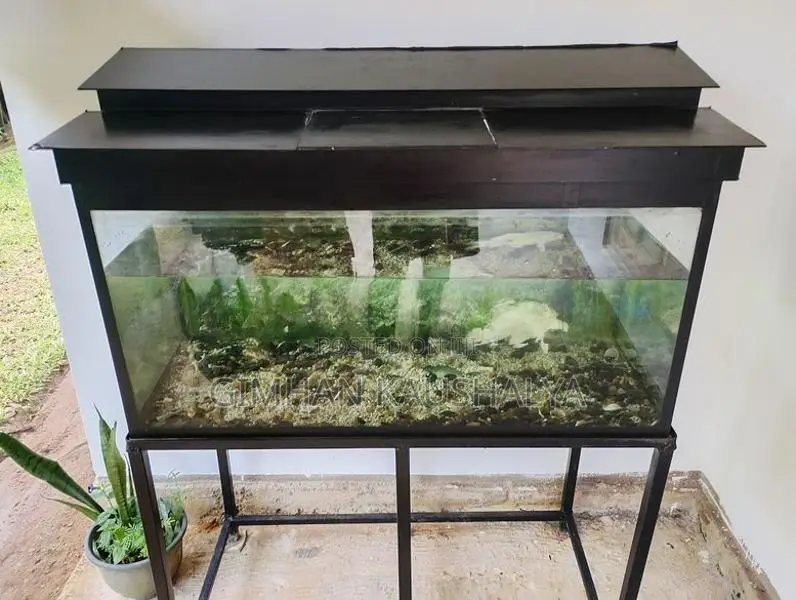 3FT Complete Aquarium Set