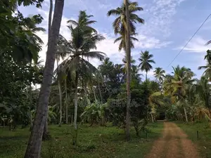Land with House Sale in Godigamuwa