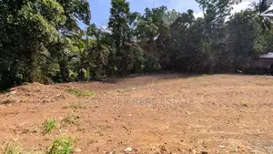 kosgama වෙල්යායකට මුහුණලා සුපිරි ඉඩමක් විකිණීමට