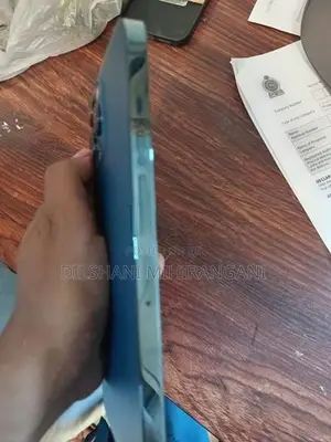 Apple iPhone 12 Pro Max (Used)