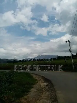 Nuwaraeliya - Beautiful Location 17 Perches Land For Sale