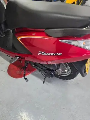 Hero Pleasure 2014