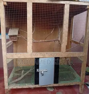 Bird Cage