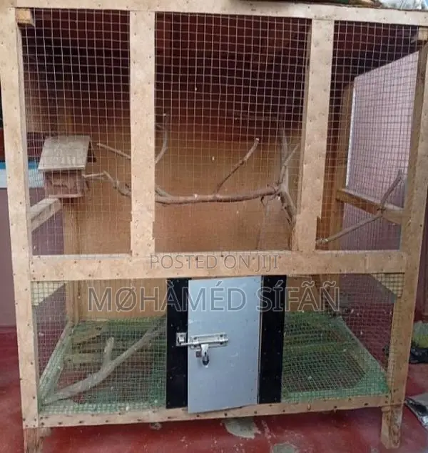 Bird Cage