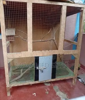 Bird Cage