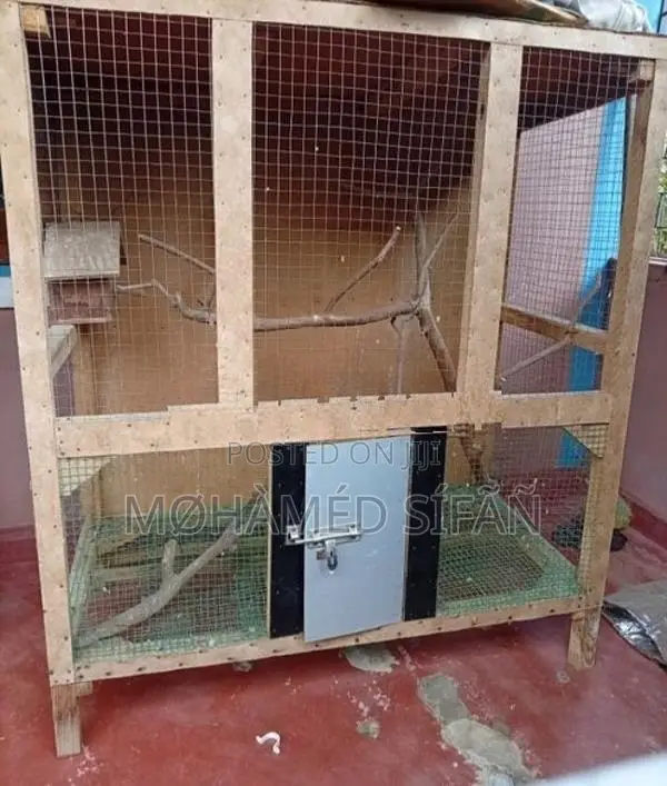 Bird Cage