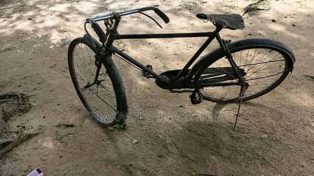 Lumala Bicycle
