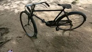 Lumala Bicycle