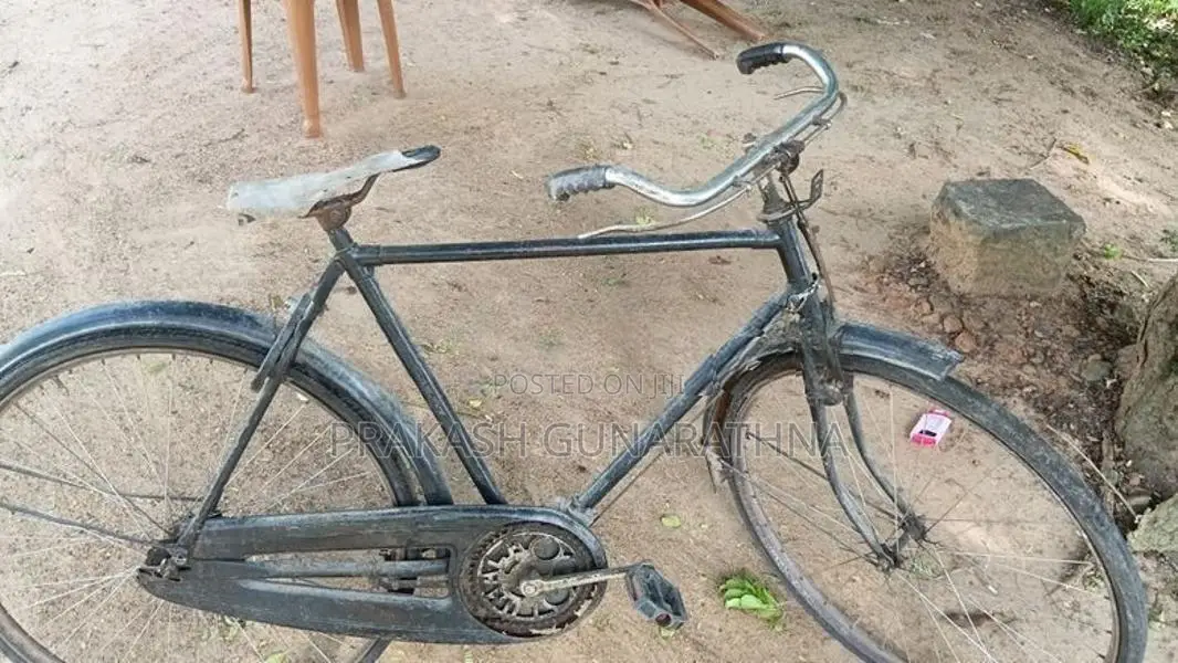 Lumala Bicycle