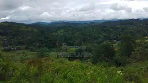 Land for Sale in Bandarawela Kontehela