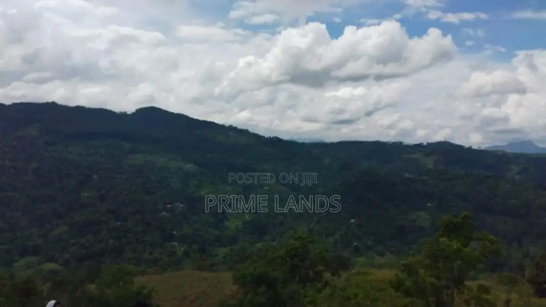 Land for Sale in Bandarawela Kontehela