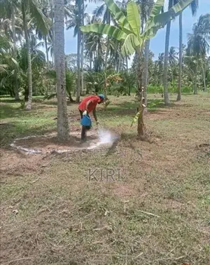 Land for Sale Kilinochi