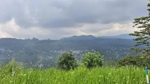 Valuable Land For Sale In Pussellawa