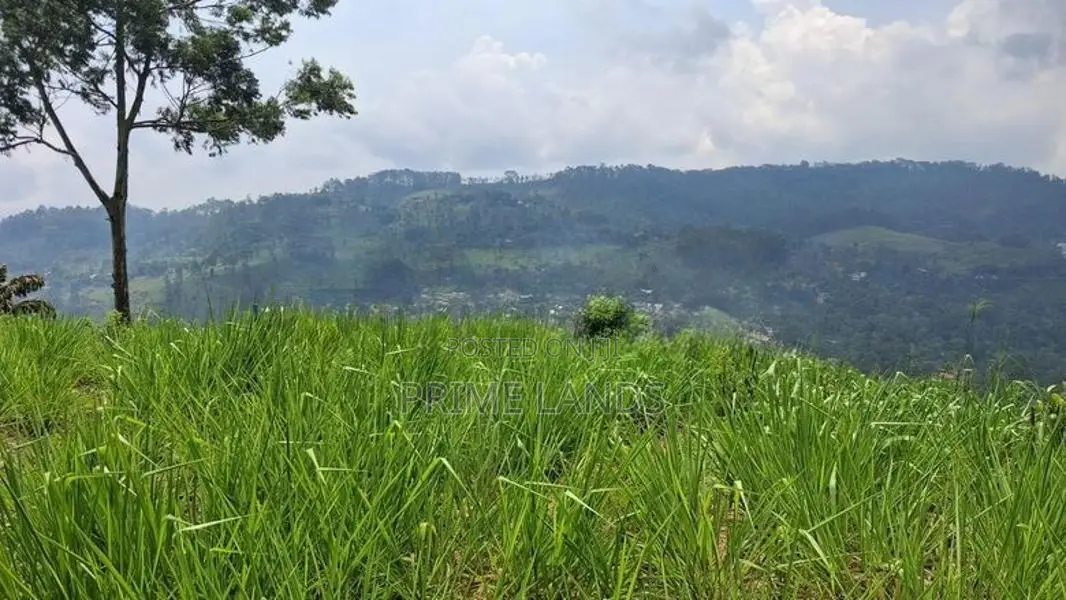 Valuable Land For Sale In Pussellawa