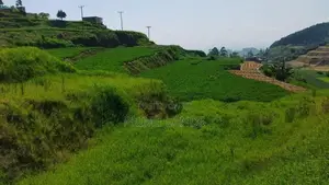 Commercial Land For Sale In Nuwaraeliya Abewela