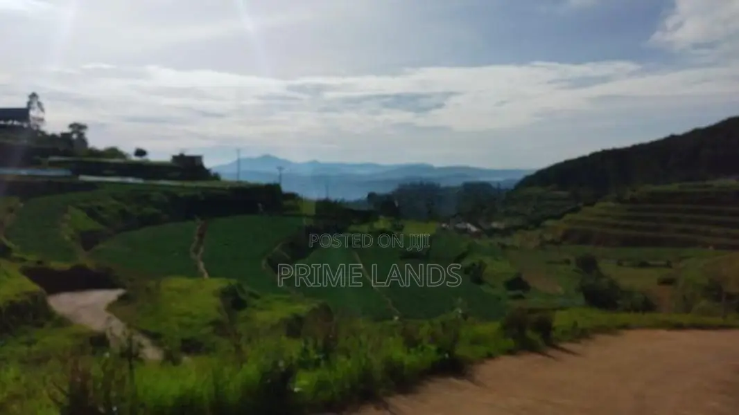 Commercial Land For Sale In Nuwaraeliya Abewela