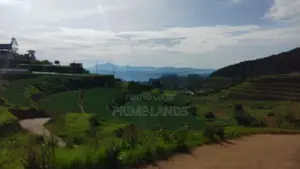 Commercial Land For Sale In Nuwaraeliya Abewela