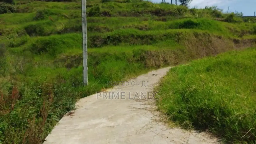 Commercial Land For Sale In Nuwaraeliya Abewela