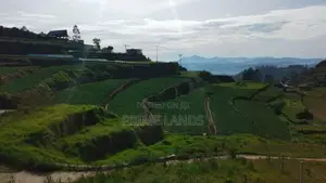 Commercial Land For Sale In Nuwaraeliya Abewela