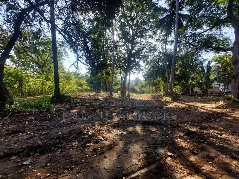 Land for Sale in Trincomalee