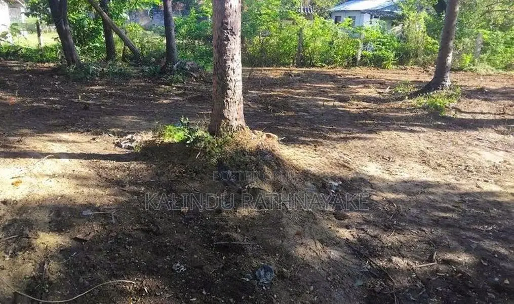 Land for Sale in Trincomalee