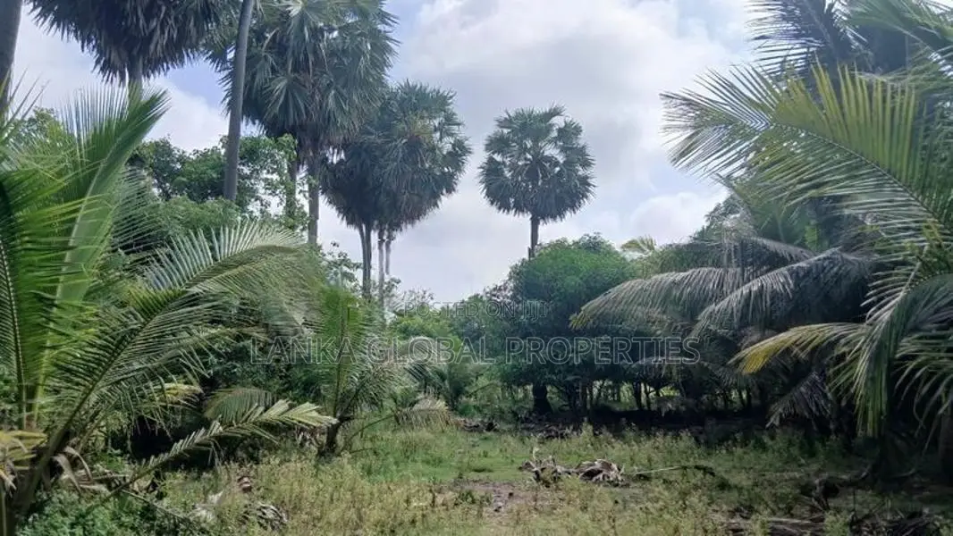 Land for Sale Jaffna
