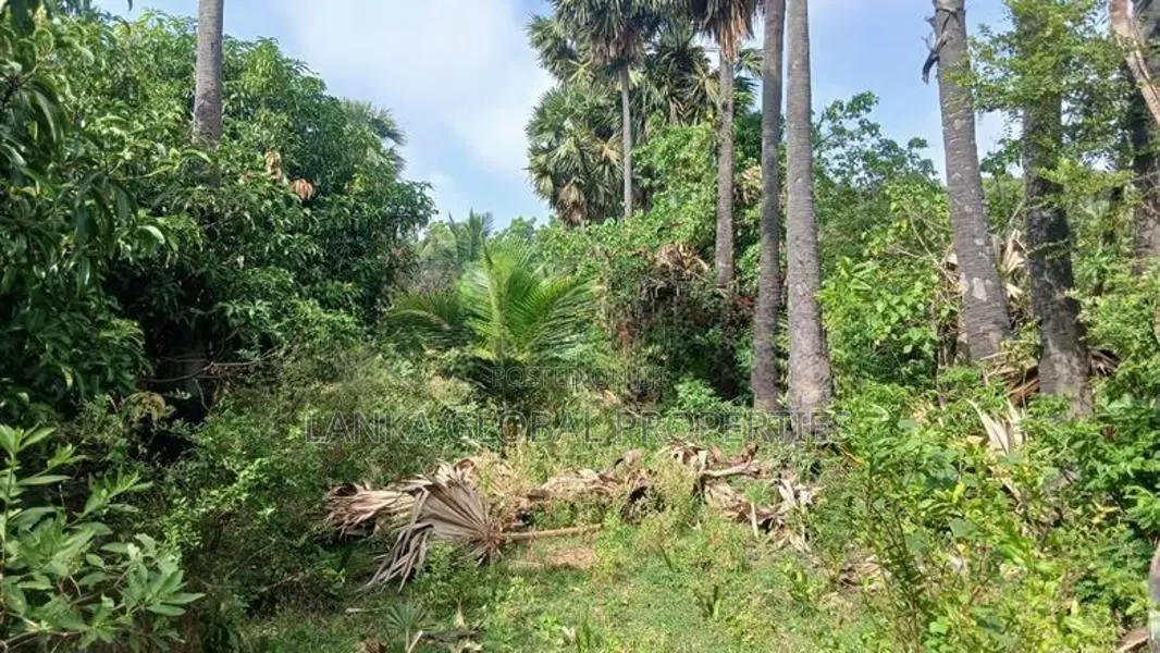 Land for Sale Jaffna