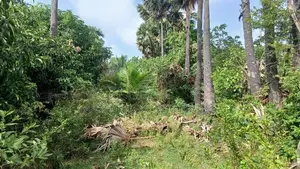 Land for Sale Jaffna