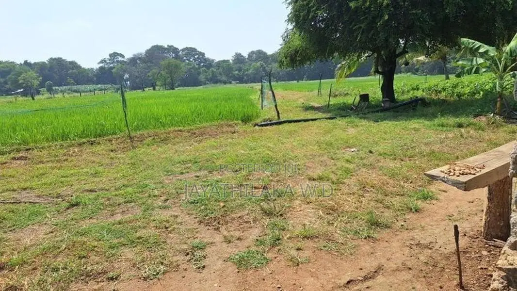 Land for Sale Wellawaya