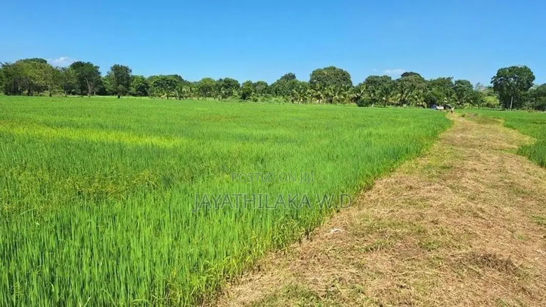 Land for Sale Wellawaya