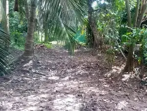 Residential Land for Sale – Maharagama