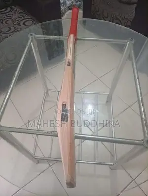 SF Bat