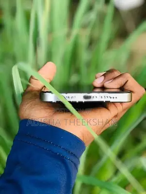 Apple iPhone 15 Pro Max (Used)