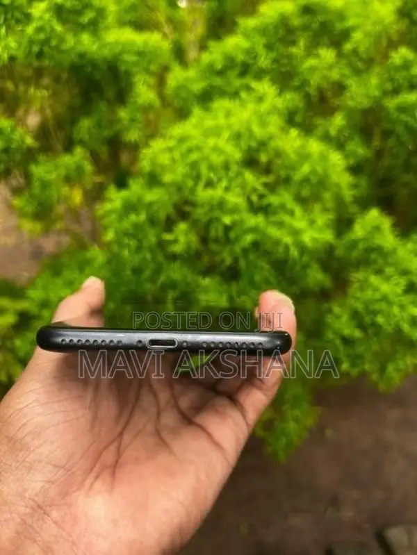 Apple iPhone 7 Plus (Used)