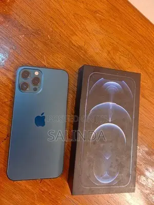 Apple iPhone 12 Pro Max (Used)