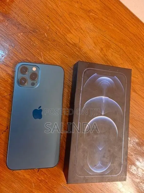 Apple iPhone 12 Pro Max (Used)
