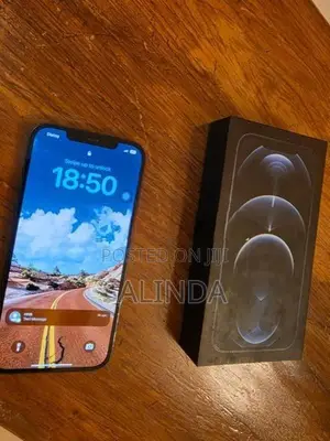 Apple iPhone 12 Pro Max (Used)