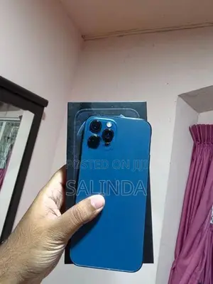 Apple iPhone 12 Pro Max (Used)