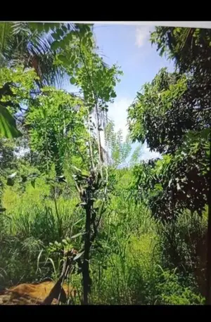 පැල්වත්ත හන්දිය අසලින් ඉඩමක් විකිණීමට