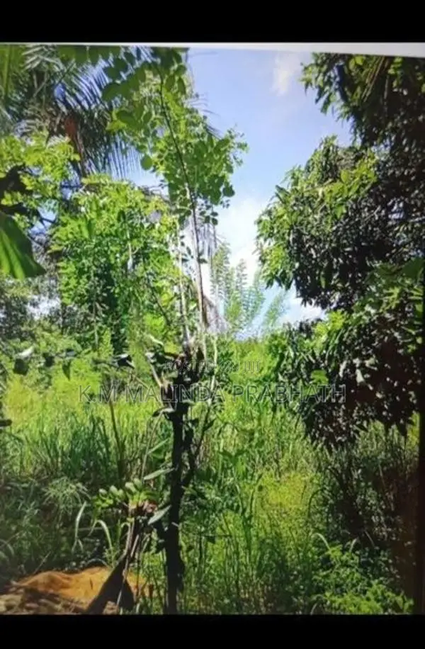 පැල්වත්ත හන්දිය අසලින් ඉඩමක් විකිණීමට