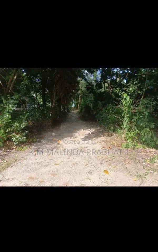 පැල්වත්ත හන්දිය අසලින් ඉඩමක් විකිණීමට