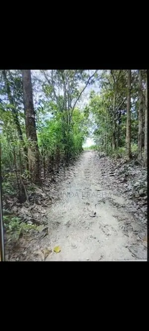 පැල්වත්ත හන්දිය අසලින් ඉඩමක් විකිණීමට