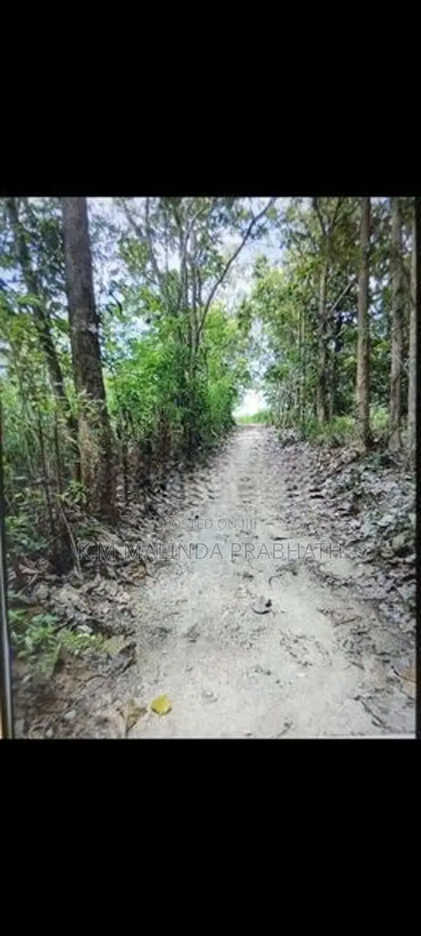 පැල්වත්ත හන්දිය අසලින් ඉඩමක් විකිණීමට