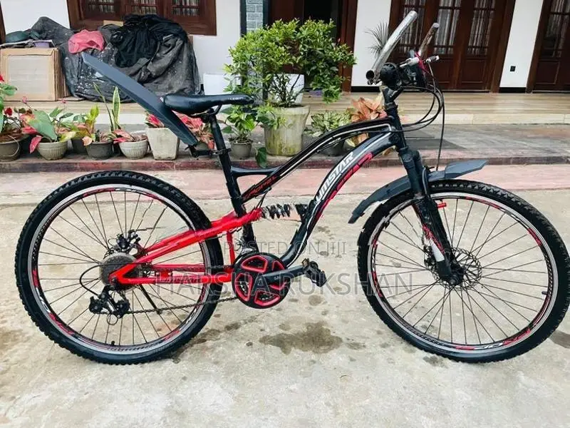 Lumala Lumstar Bicycle